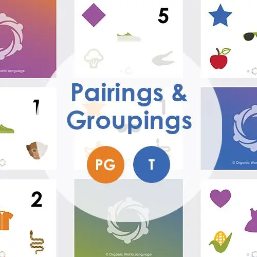 Pairing and Grouping Cards Digital Download